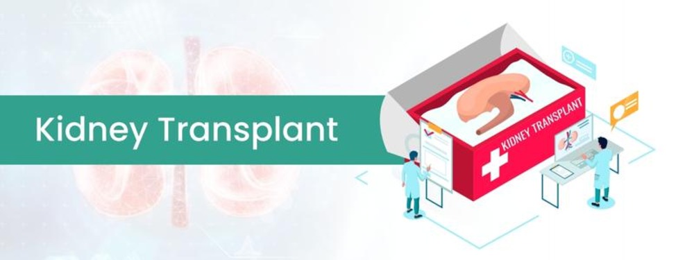 kidney transplant cost in india