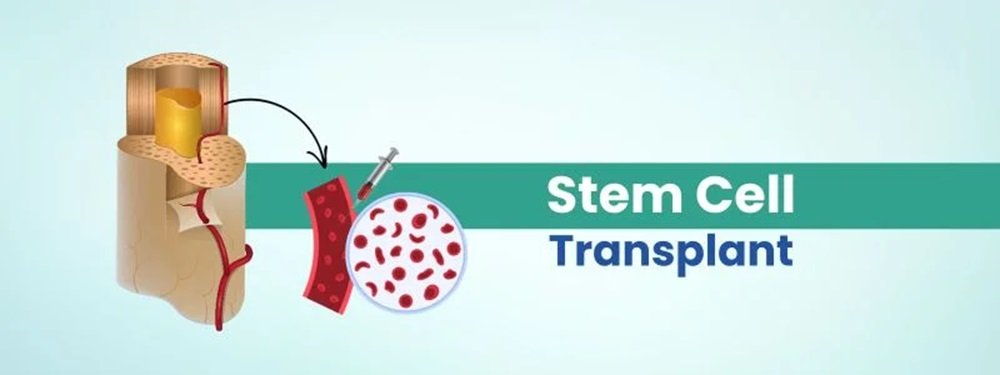 stem cell transplant cost in india