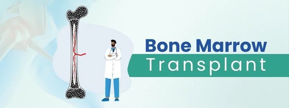 bone marrow transplant cost in india