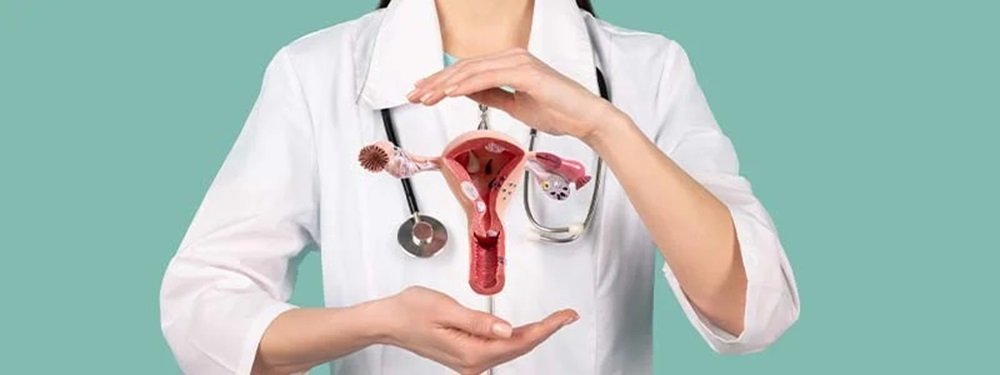 uterus removal surgery cost in india 