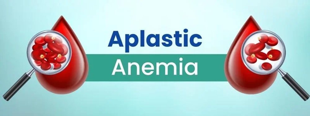 aplastic anemia treatment cost in india