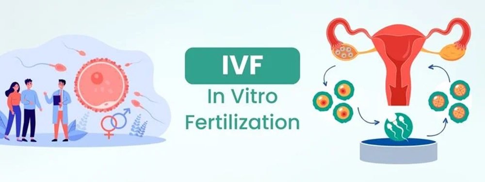 ivf treatment cost in india